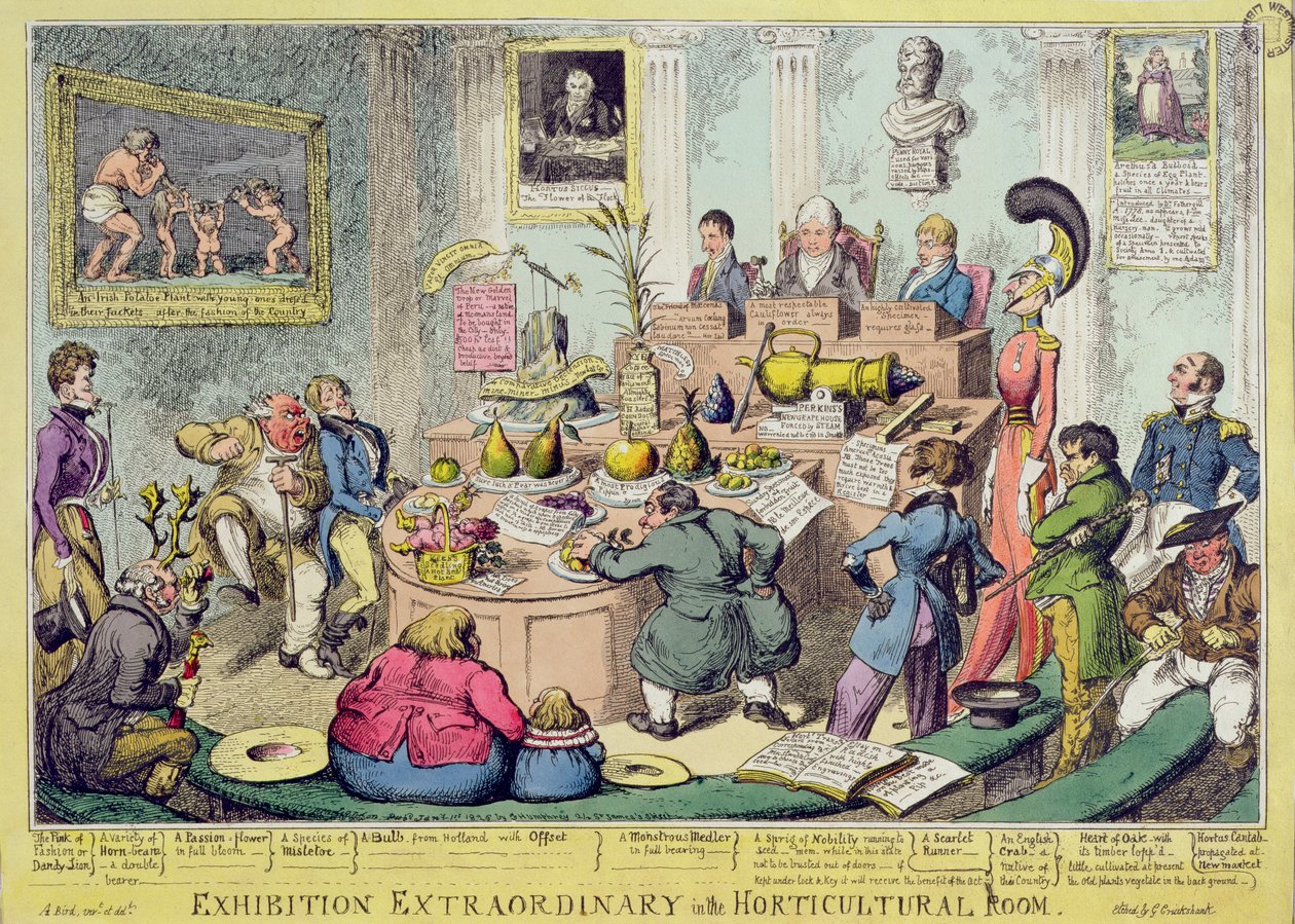 展览特别在园艺室，由George Cruikshank（1792-1878），酒吧蚀刻。作者：G。Humphrey，1826年（彩色蚀刻） 作者 英语学校
