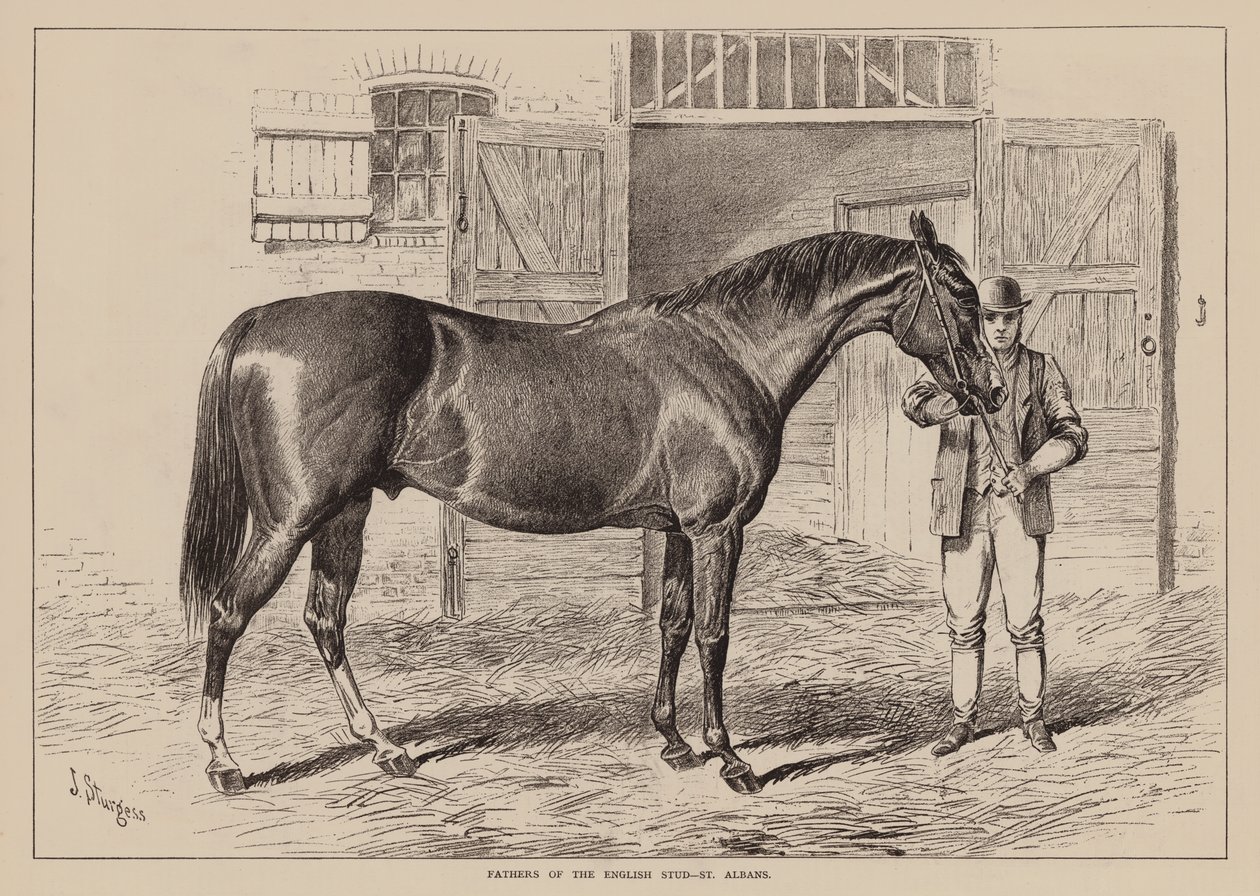 英国梭哈之父，圣奥尔本斯（雕刻） 作者 英语学校