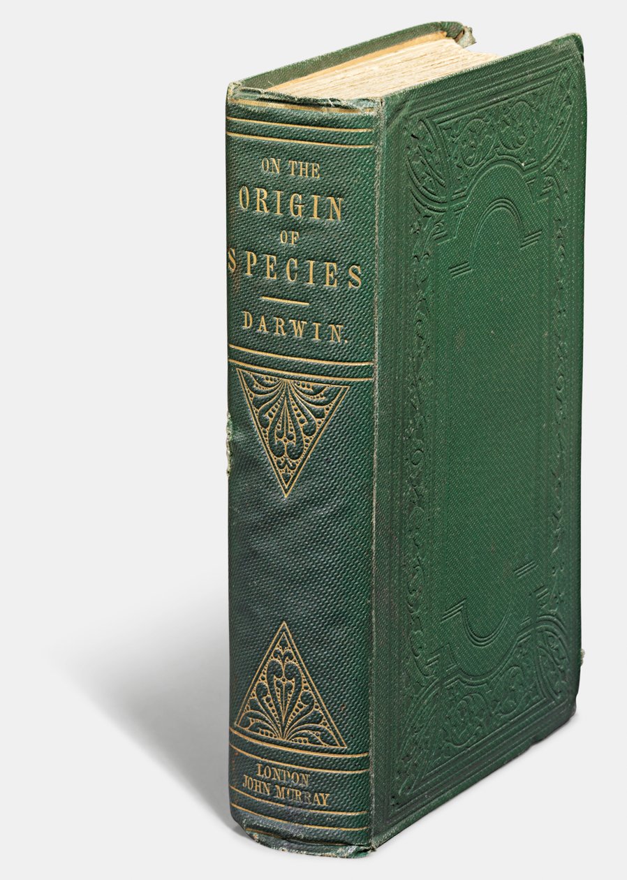 查尔斯·达尔文（Charles Darwin）的第一本“通过自然选择的物种起源论”：约翰·默里（John Murray） 作者 英语学校