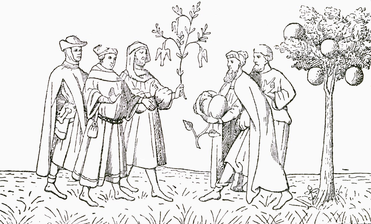 Pordenone的Friar Oderic从一棵树上长出一根树枝，由当地的国王，鞑靼的羔羊树依次显示，显示出一只新出现的羊羔，插图来自The Strand Magaz 作者 英语学校