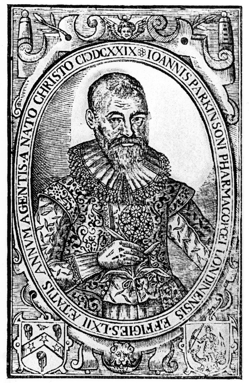 1829年出版的约翰帕金森的Sole Paradisus Terrestris中Paradisi的主题 作者 英语学校