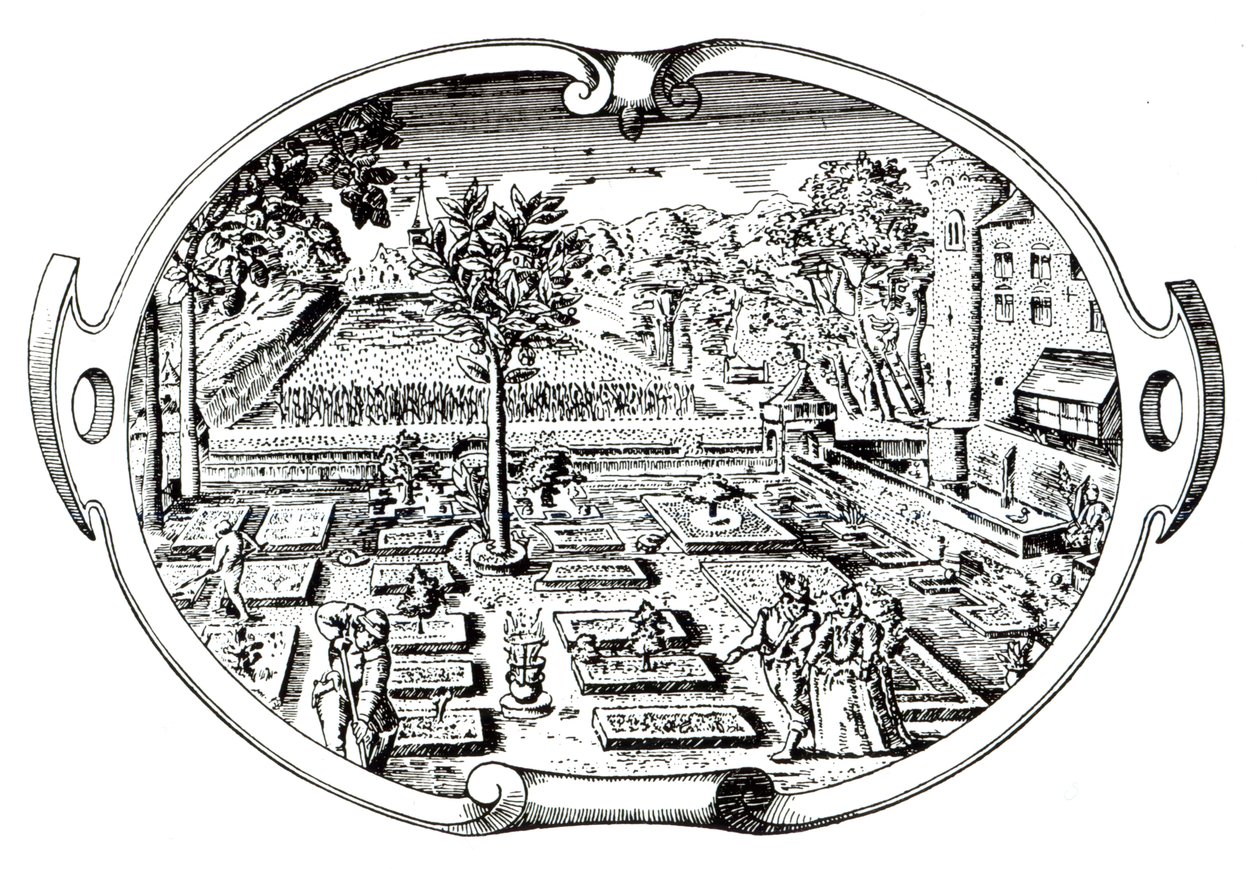 来自The Herball的The Frontispiece，作者John Gerard（1545-1607），出版于1597年 作者 英语学校