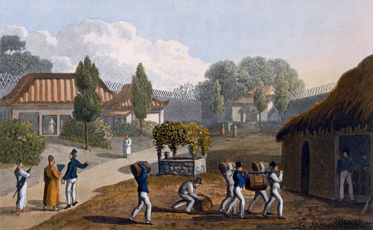 1820年的Lewchew花园（彩色aquatint） 作者 英语学校