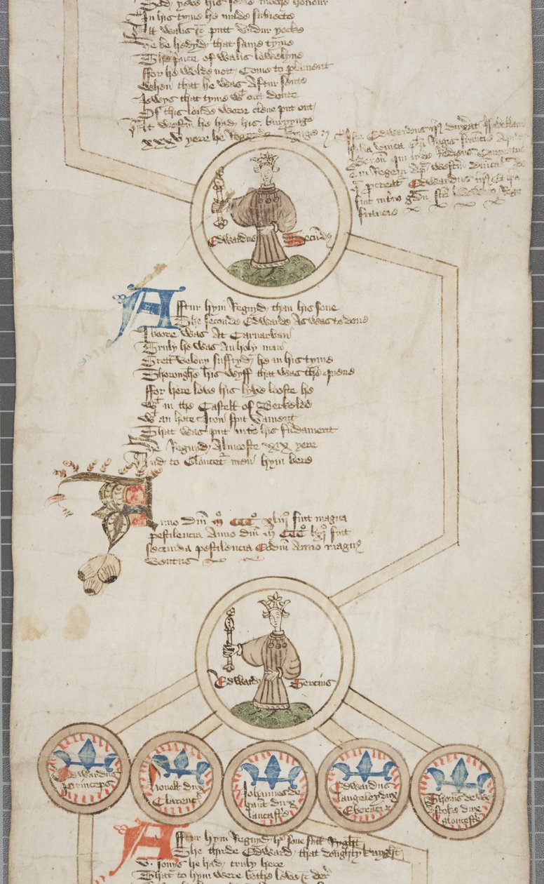 英格兰国王的家谱卷，c.1440-79（羊皮纸上的钢笔墨水） 作者 英语学校