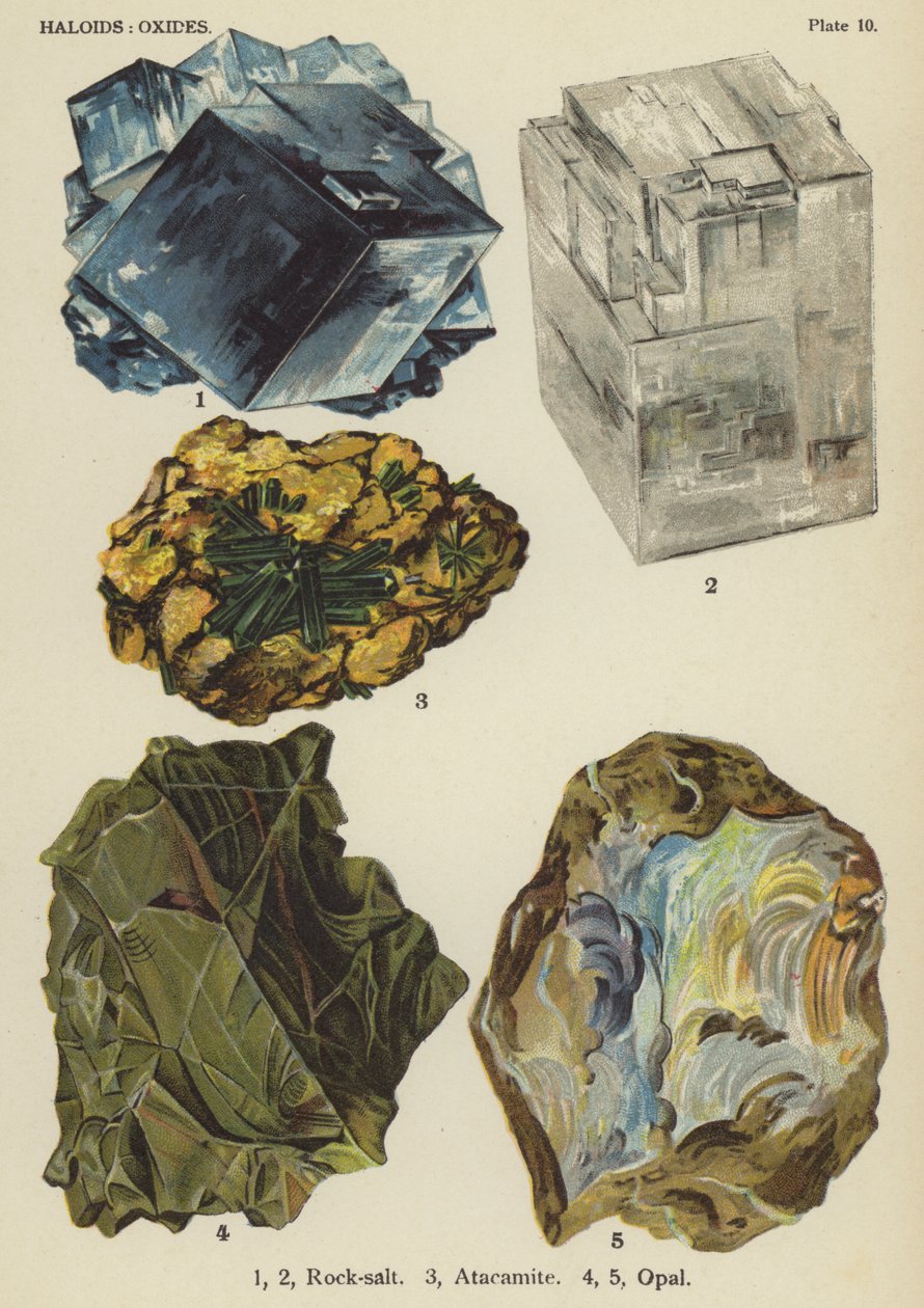 光卤石、氧化物、岩盐、阿塔卡米石、蛋白石（彩色石版画） 作者 英语学校