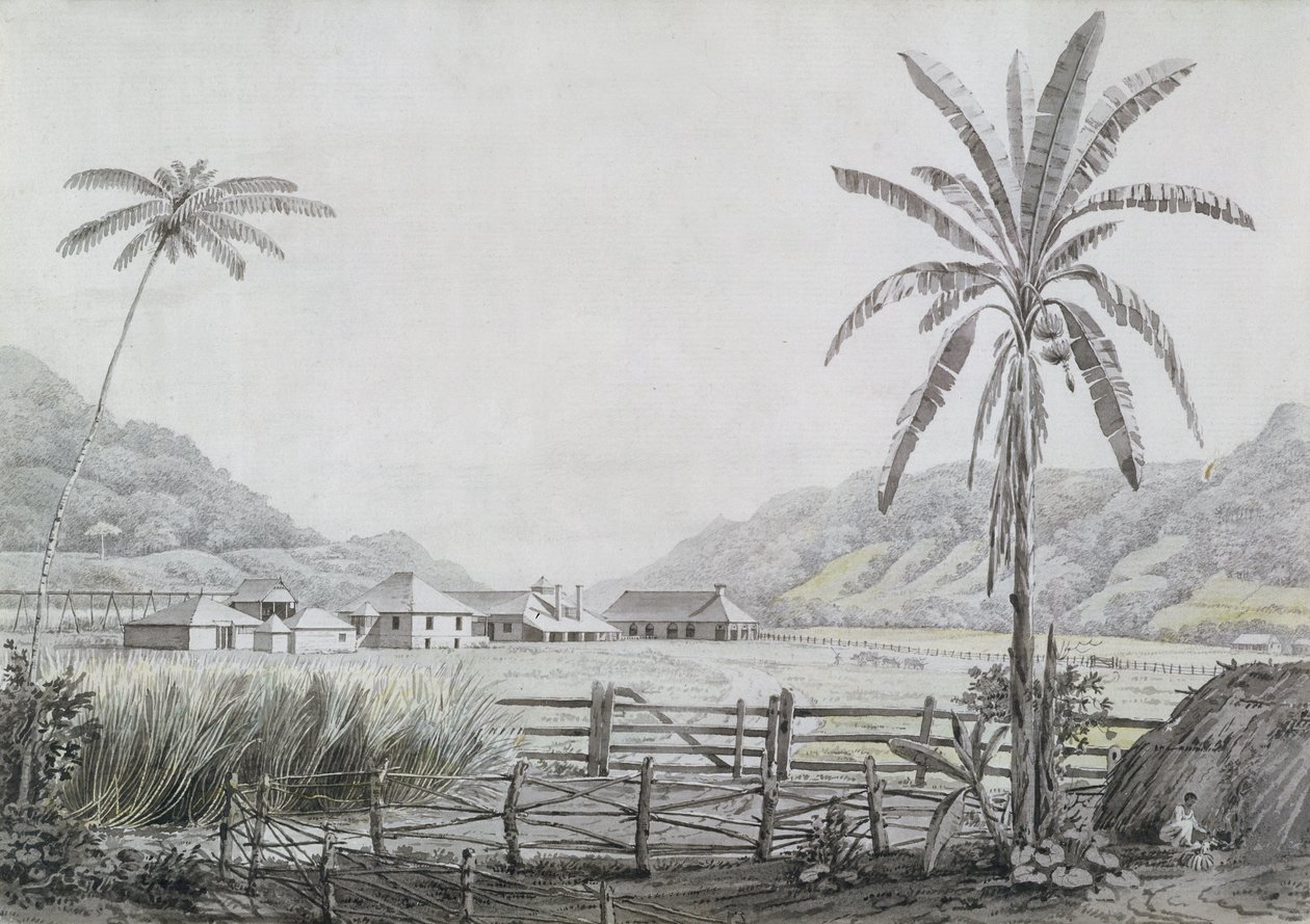 牙买加哈尔斯霍尔，1780年（纸上有石墨） 作者 英语学校