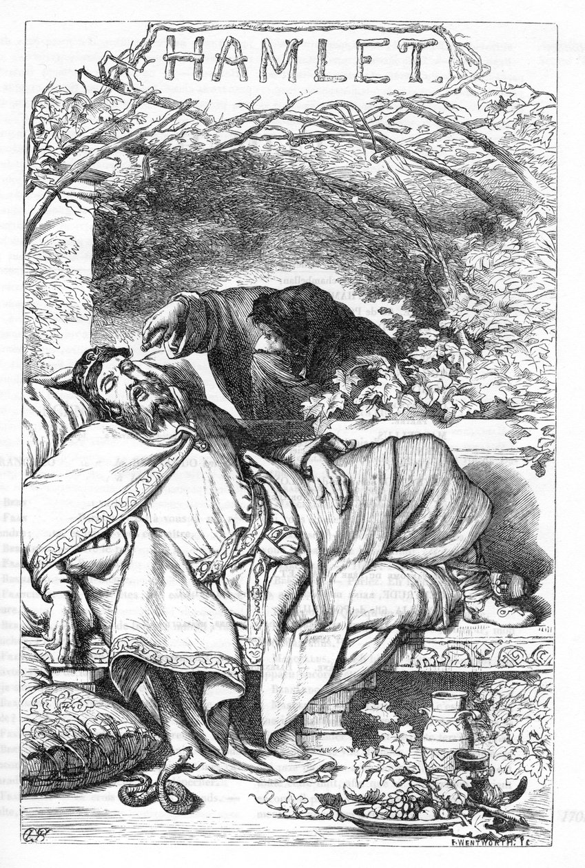 哈姆雷特--《威廉-莎士比亚全集》中的插图，1866年--该版本的插图和一般形式借用了卡塞尔的《莎士比亚插图》，在伦敦出版。 作者 英语学校