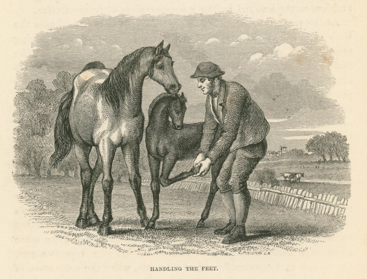 处理脚（雕刻） 作者 英语学校