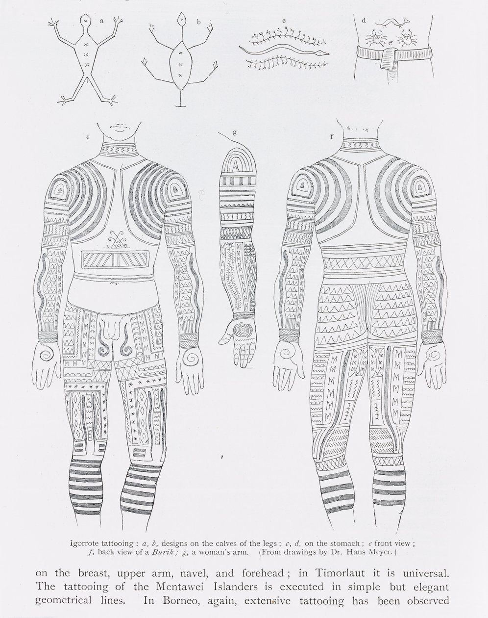 Igorrote纹身，来自&39;人类的历史&39;，第1卷，由Friedrich Ratzel教授，1896年 作者 英语学校