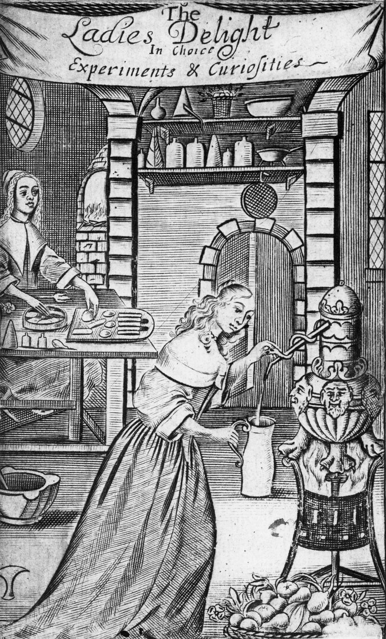 汉娜·伍利（Hannah Woolley）于1672年在“女士喜欢选择实验和好奇心”中的插图 作者 英语学校