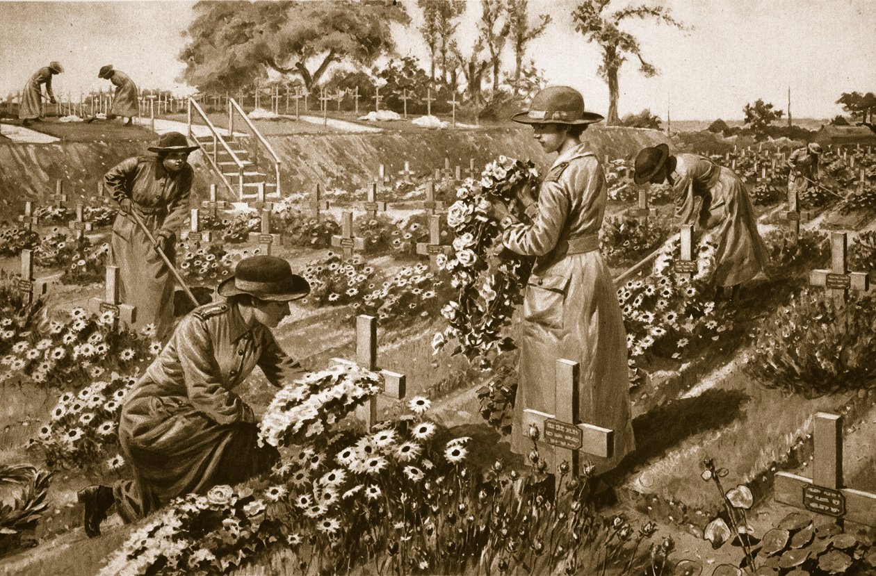 在肯定和某些希望，1914-19 作者 英语学校