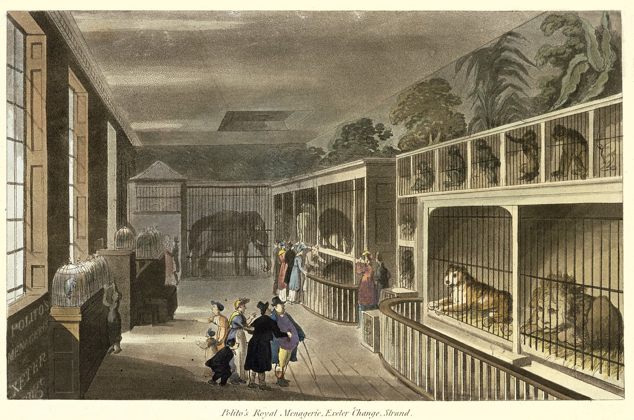 Politos Royal Menagerie，Exeter Change，Strand，1812（aquatint）的内部视图 作者 英语学校