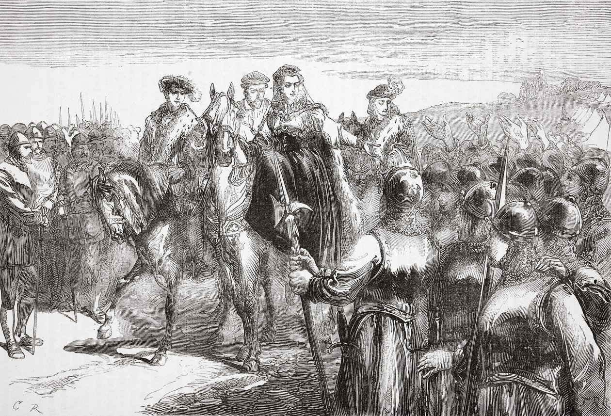 纳瓦拉女王珍妮·达尔布雷特（Jeanne DAlbret），讲述了胡格诺派士兵，詹姆斯·艾特肯·威利（James Aitken Wylie，1808-1890）发表的“新教历史”（The History of Protestantism）。 1878年 作者 英语学校