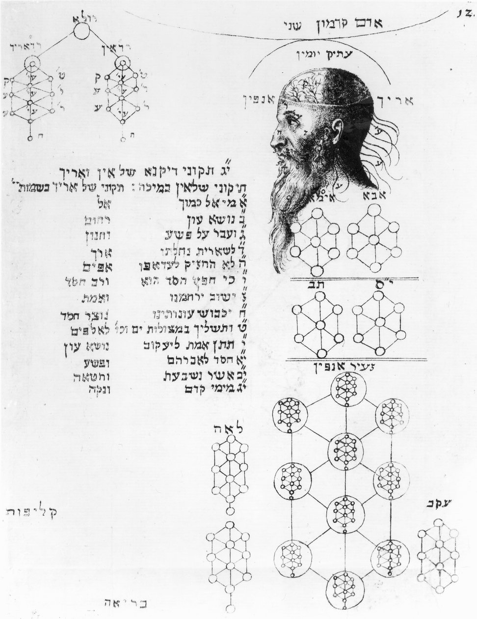 说明颅相学的犹太手稿 作者 英语学校