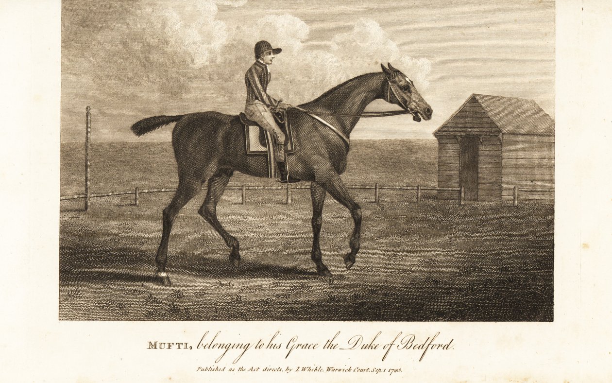 Jockey on the celebrated thoroughbred racer Mufti, belonging to his Grace the Duke of Bedford 作者 英语学校