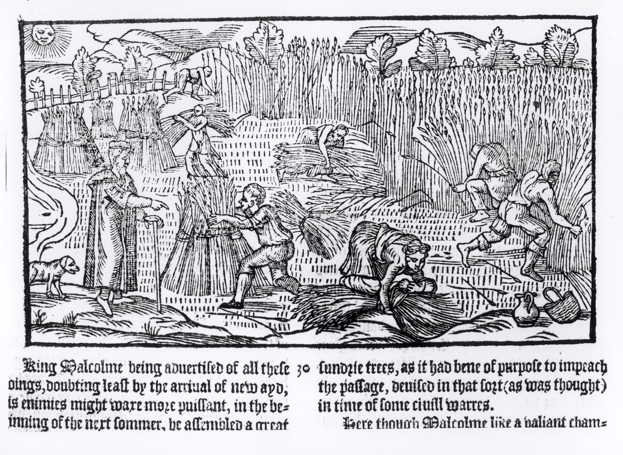苏格兰国王马尔科姆观察农业劳工，1586年 作者 英语学校