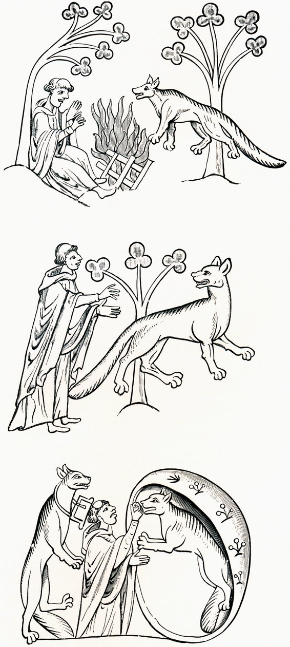 牧师和人民的传说变成了狼，来自JR Green的“英国人的短暂历史”，1893年出版 作者 英语学校