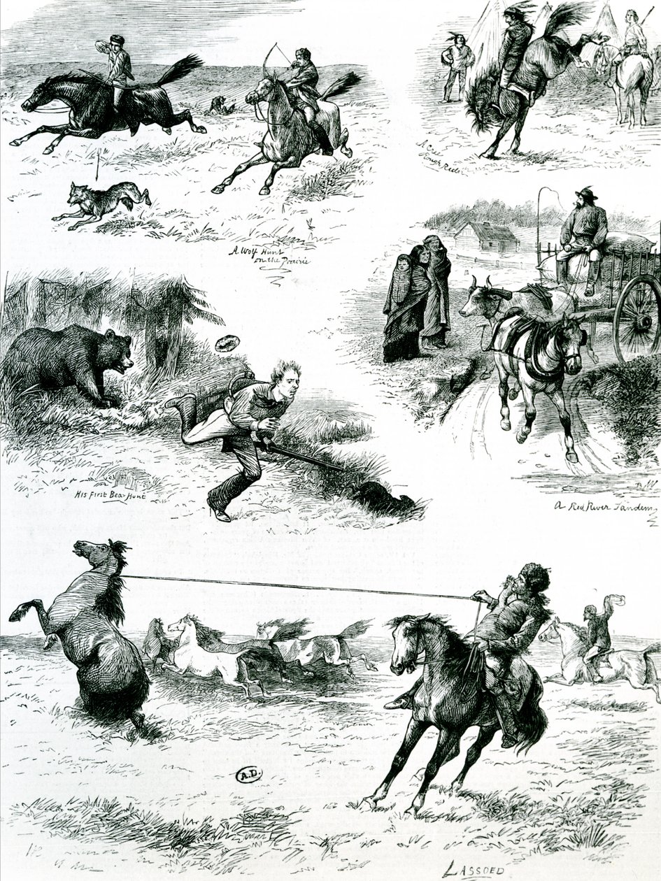 生活在马尼托巴省，1877年 作者 英语学校