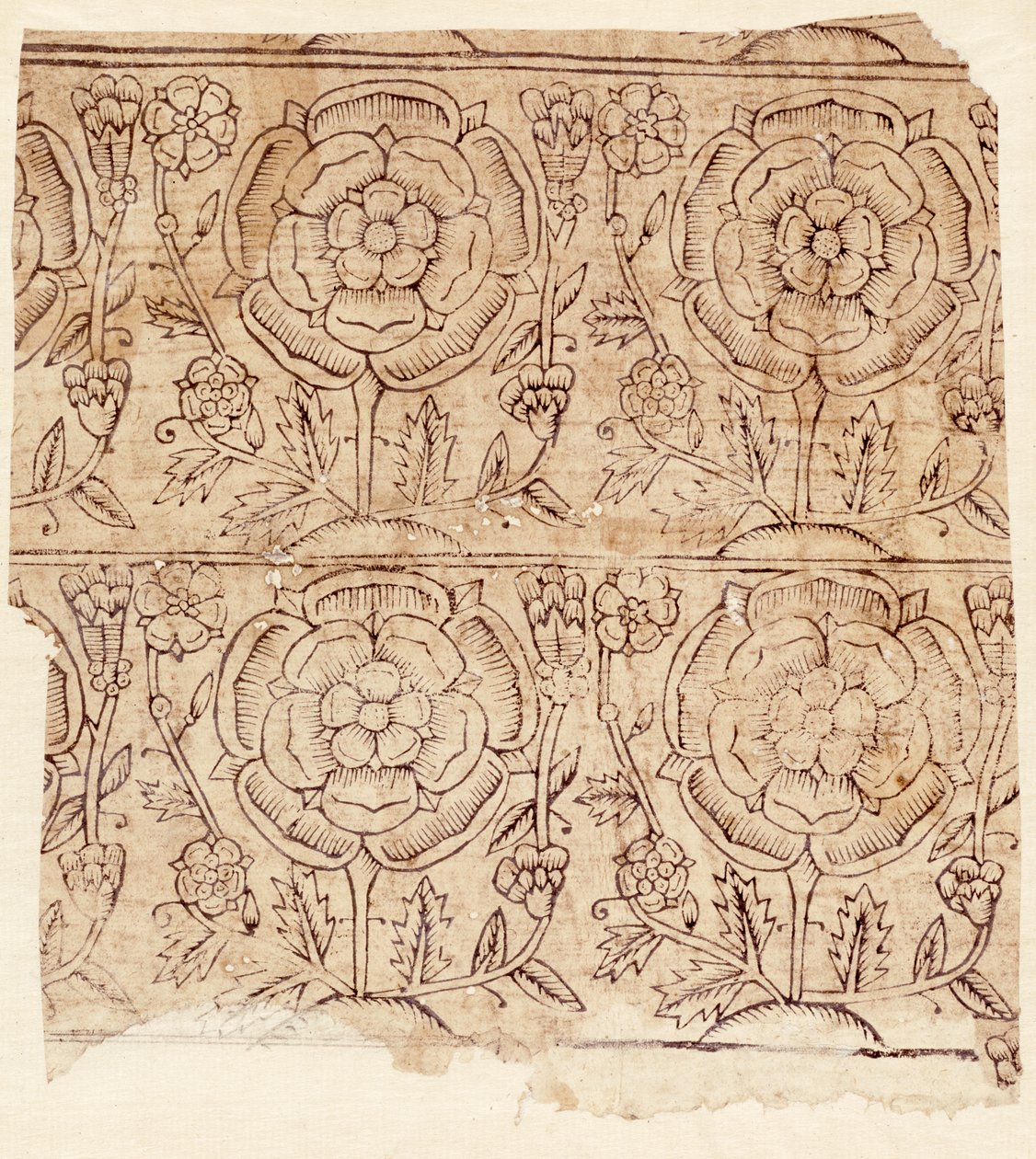 带有Tudor Rose图案的衬里纸，c.1550（木版画） 作者 英语学校