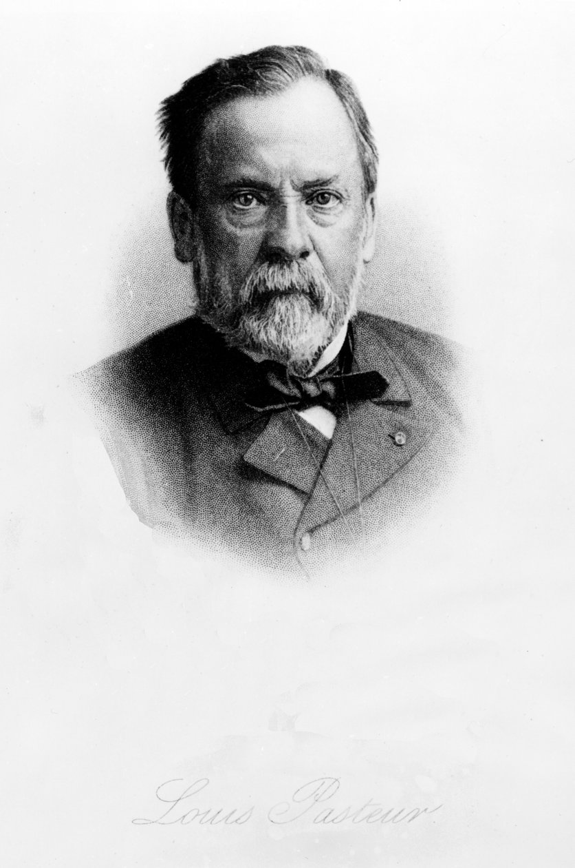 路易斯巴斯德（1822-95） 作者 英语学校