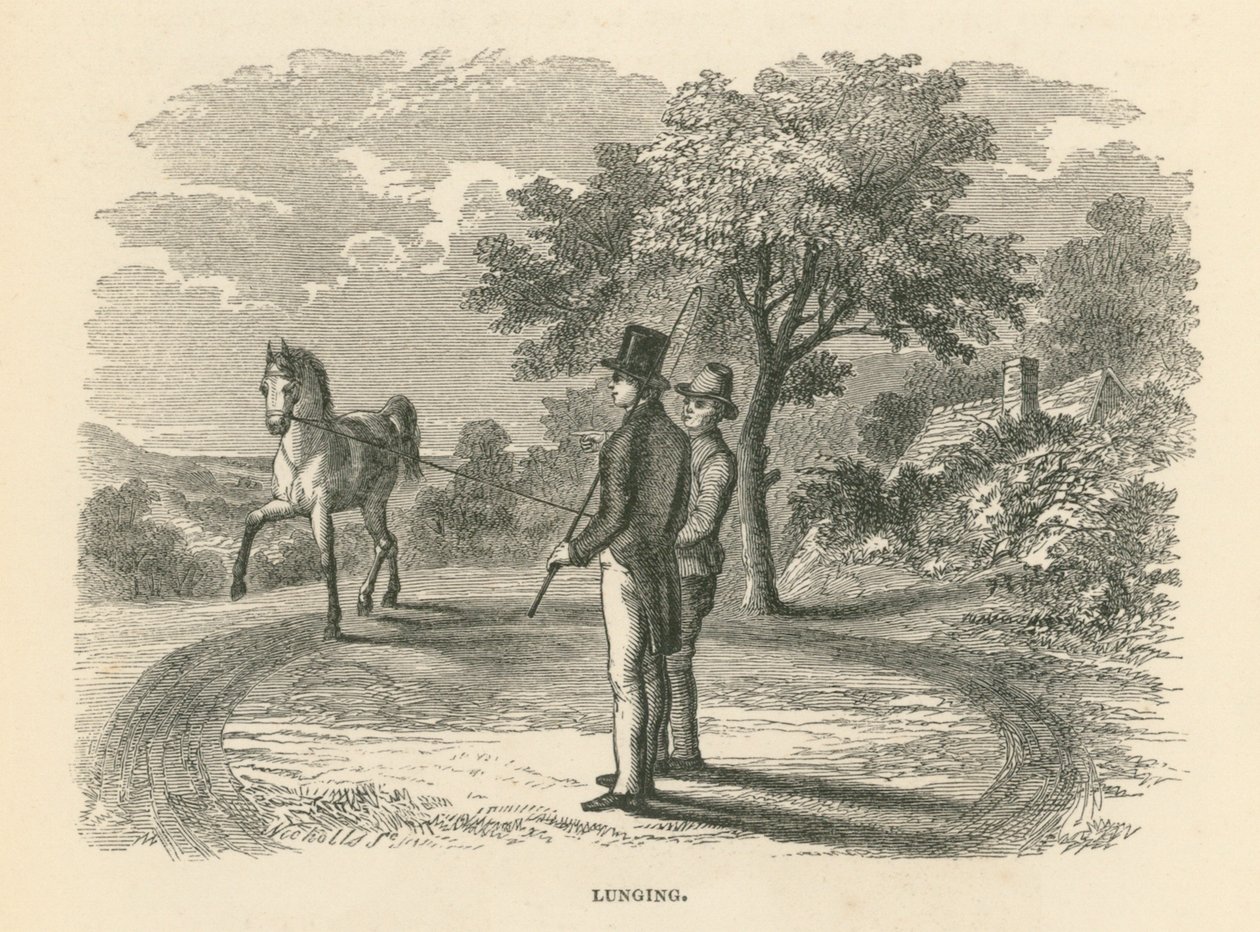 Lunging (雕刻) 作者 英语学校