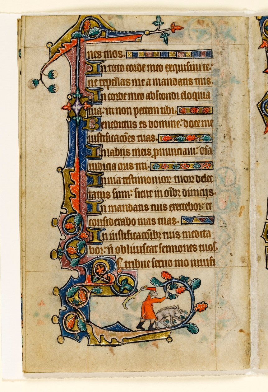 MS 1-2005，关注。 170v：一只猪打倒了橡子的橡子，麦克尔斯菲尔德Psalter的边缘装饰，使用Sarum，东安格利亚，c.1330 作者 英语学校