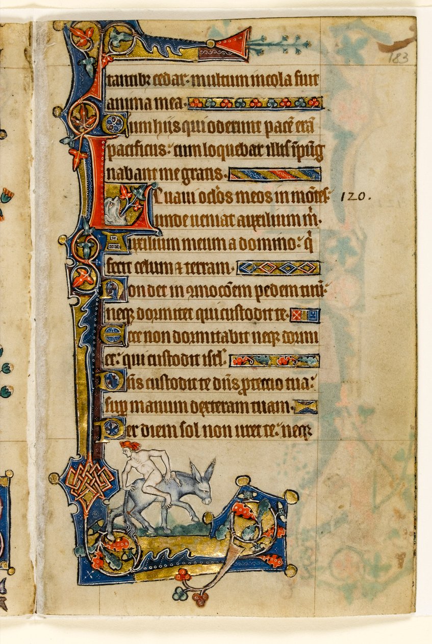MS 1-2005，关注。 183r：一名男子向后骑，从Macclesfield Psalter边缘装饰，东安格利亚Sarum的使用，c.1330 作者 英语学校