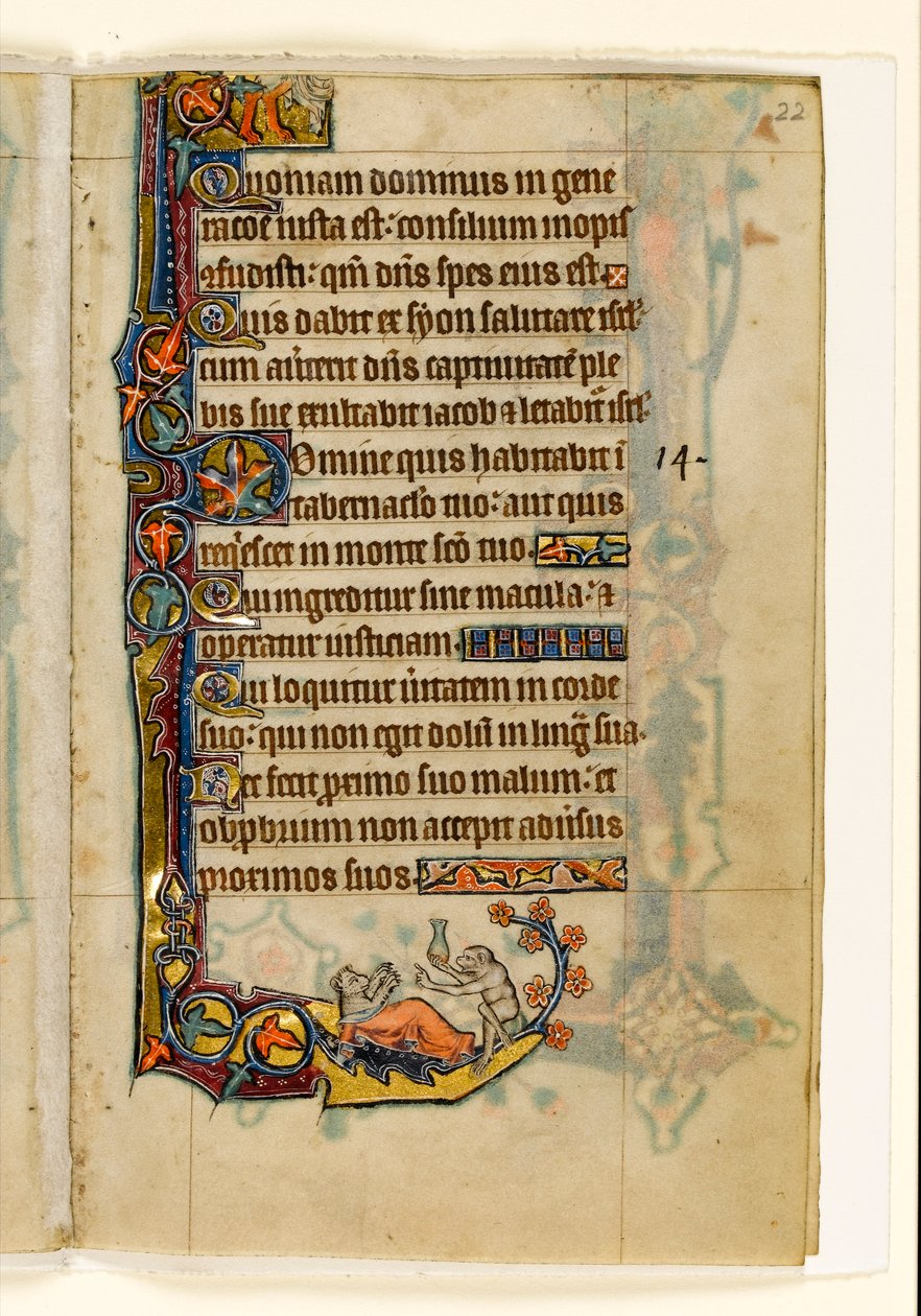 MS 1-2005，关注。 22r：来自Macclesfield Psalter的Ape-doctor和他的忍者，边缘装饰，东安格利亚Sarum的使用，c.1330 作者 英语学校