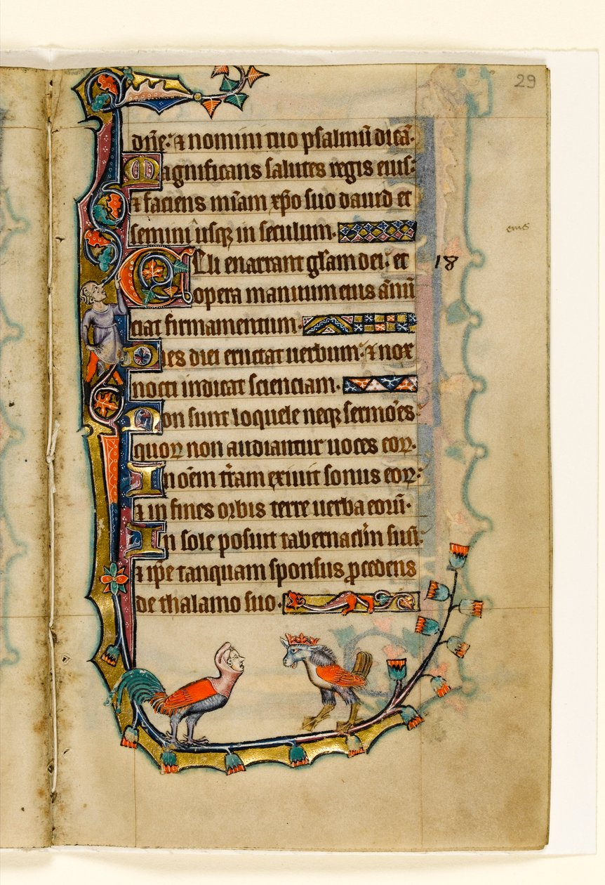 MS 1-2005，关注。 29r：两只鸟像怪诞，来自Macclesfield Psalter的边缘装饰，使用Sarum，East Anglia，c.1330 作者 英语学校