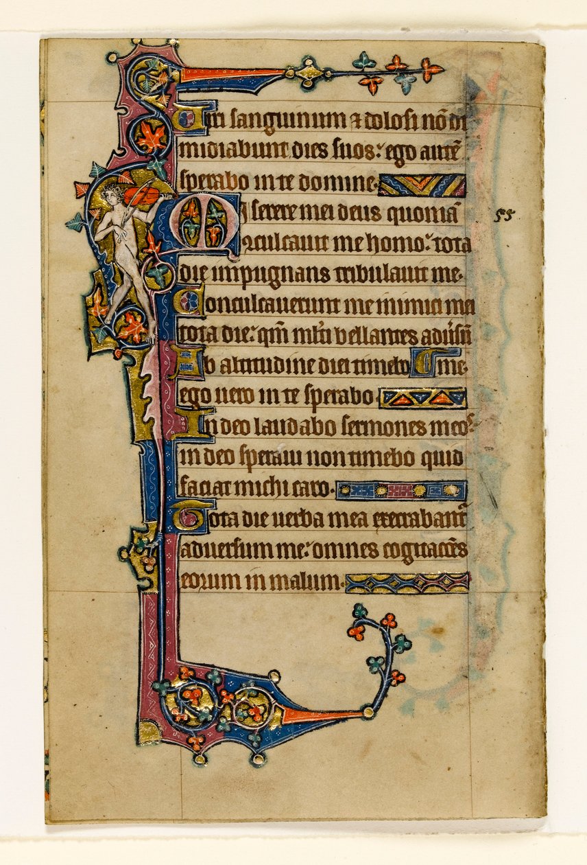 MS 1-2005，关注。 80v：一位裸体音乐家，Macclesfield Psalter的边缘装饰，使用Sarum，East Anglia，c.1330 作者 英语学校