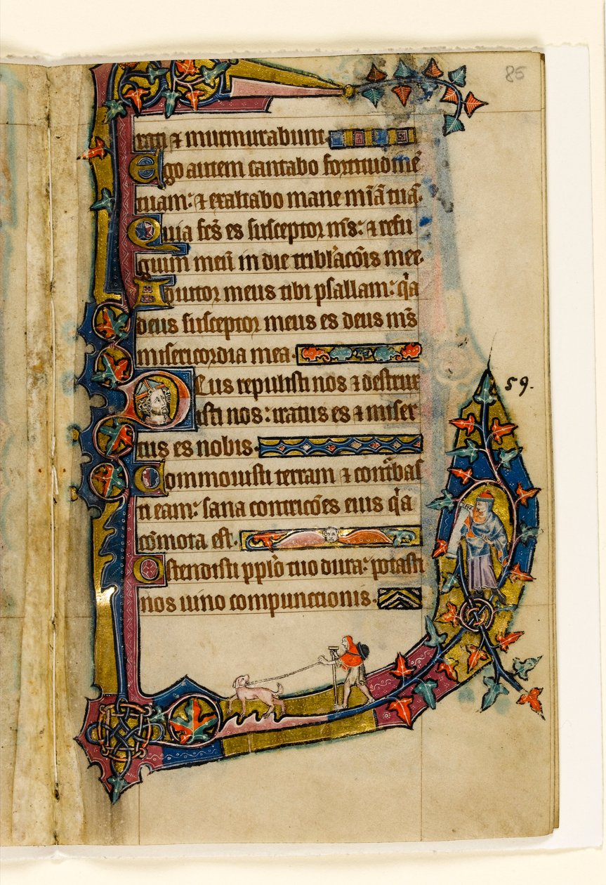 MS 1-2005，关注。 85r：带有狗的忏悔者，来自麦克尔斯菲尔德Psalter的边缘装饰，使用Sarum，东安格利亚，c.1330 作者 英语学校