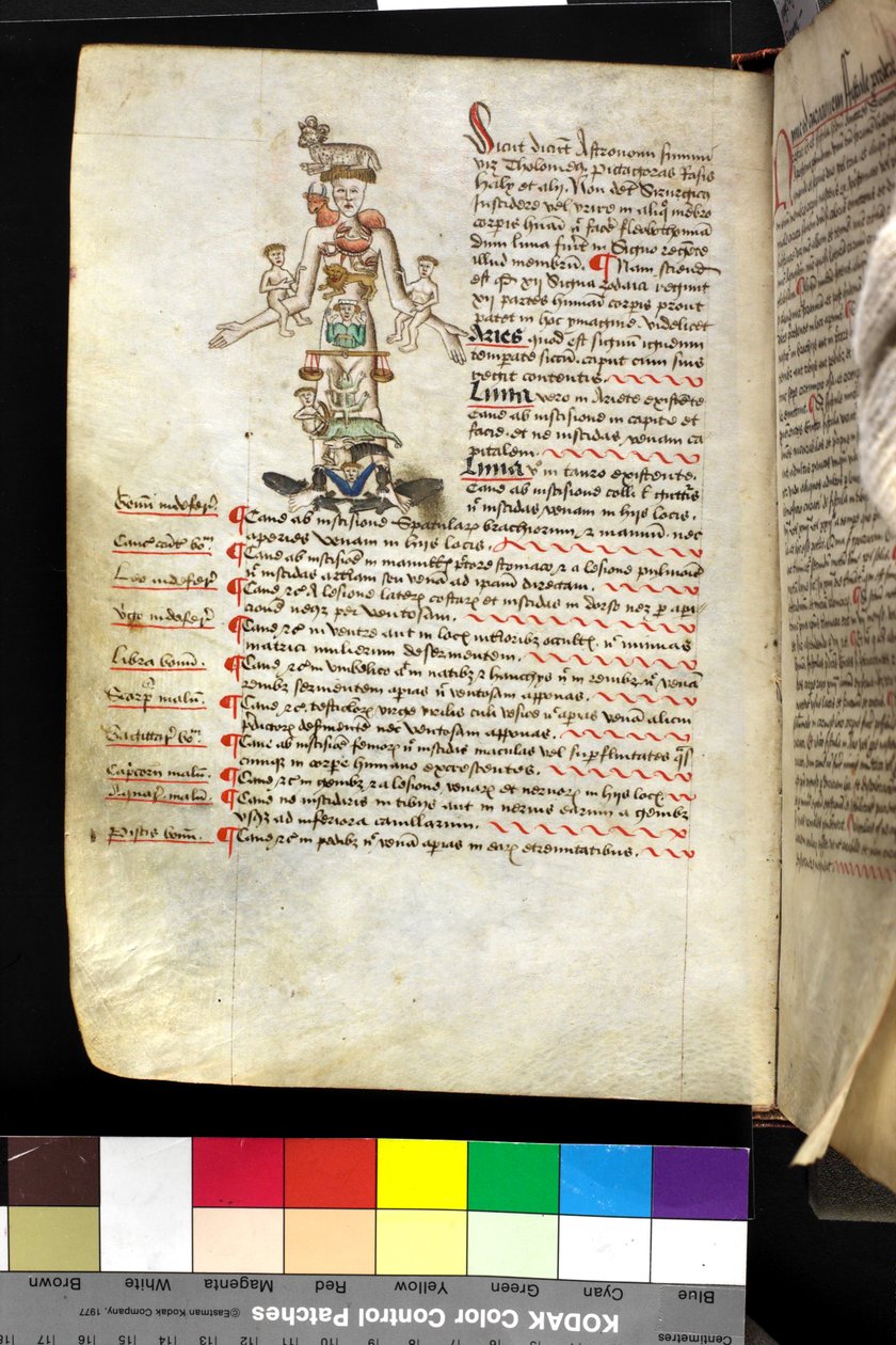 MS Hunter 251 f.47v, illustration of a 