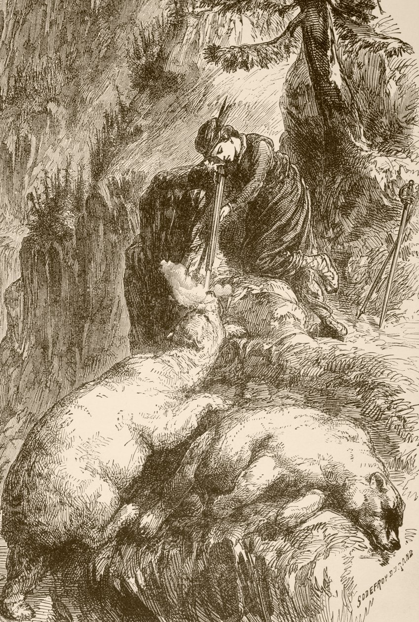 玛格丽特-德-罗伯瓦尔在纽芬兰附近的恶魔岛射杀两头熊（石版画） 作者 英语学校