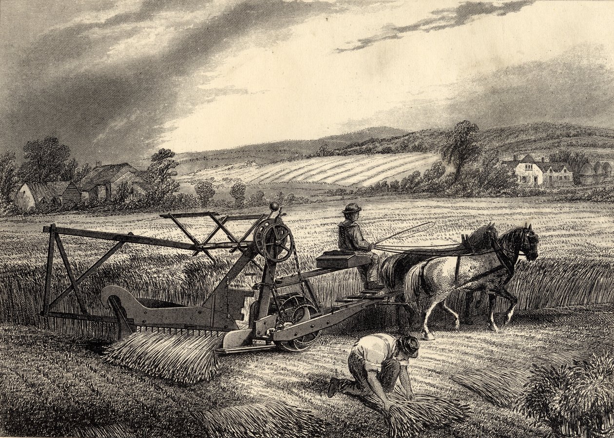 McCormicks Reaping Machine 作者 英语学校