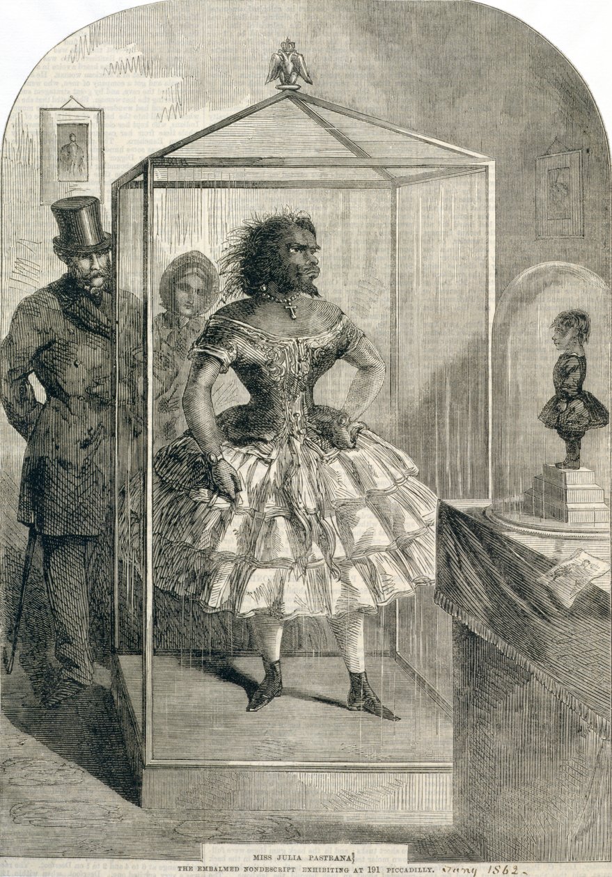 Julia Pastrana小姐，The Embalmed Nondescript，参演于1862年的Piccadilly 191号 作者 英语学校