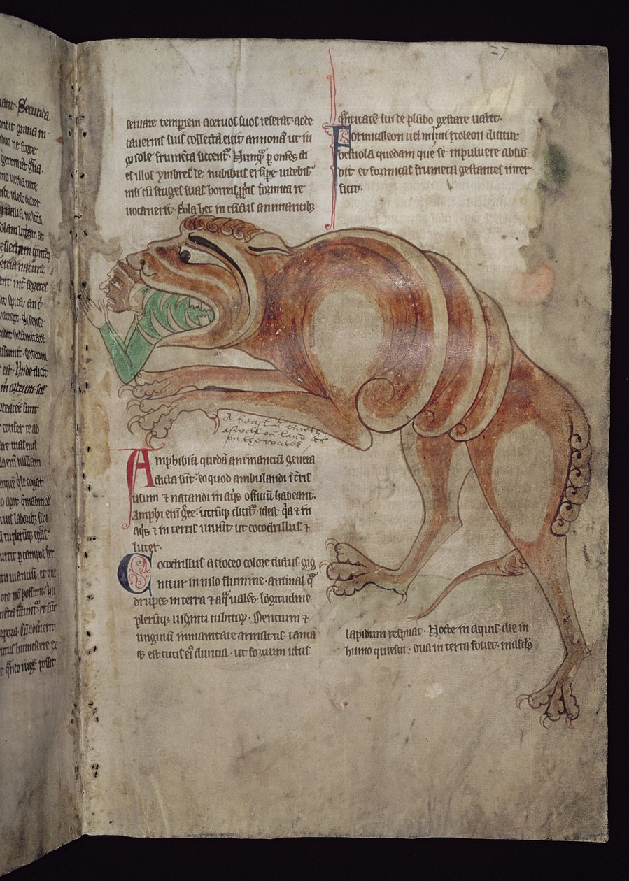 Ms.254 f.24 r Cocodrillus吞咽一个男人 作者 英语学校