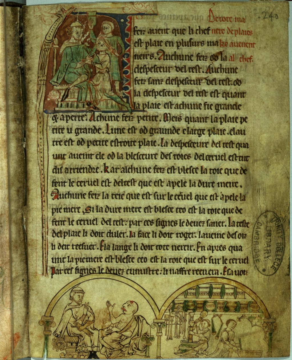 Ms.O.1.20.f.241v 杰罗姆：一位看病的医生和一位药剂师，选自《De Nominibus Herbraicis》（牛皮纸） 作者 英语学校
