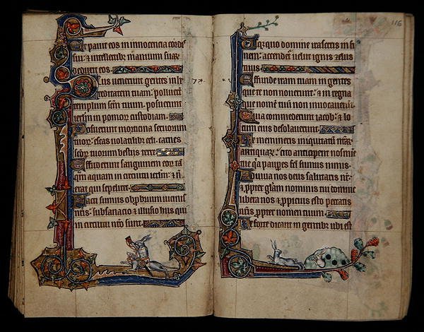 Ms 1-2005, ff.115v-116r: 骑在狗身上的猎兔，边缘装饰来自Macclesfield Psalter, Use of Sarum, East Anglia, c.1330（牛皮纸）。 作者 英语学校