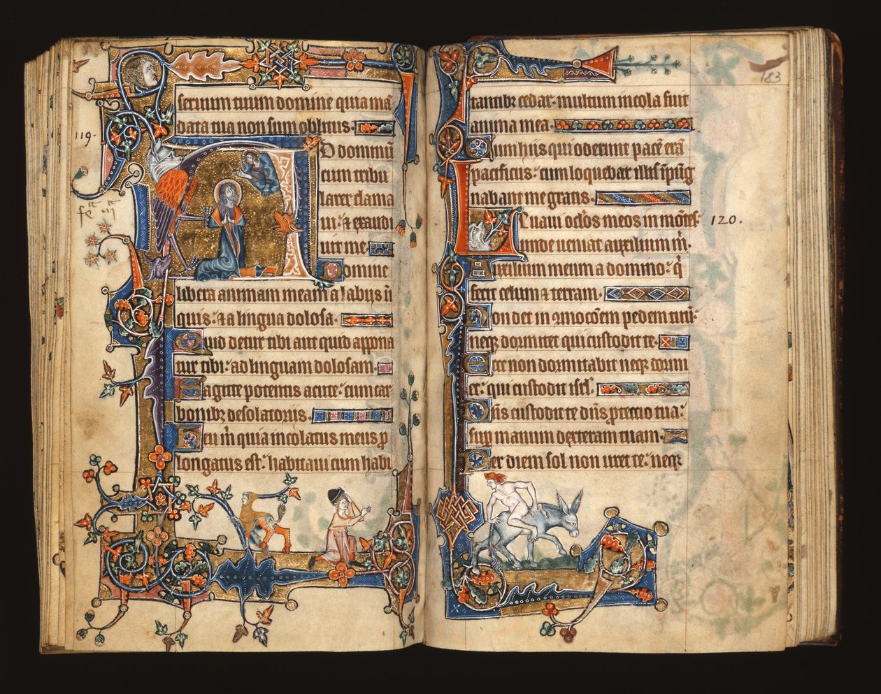 1-2005号女士，ff.182v-183r：大卫祈祷，从Macclesfield Psalter起初的历史，使用Sarum，East Anglia，c.1330 作者 英语学校