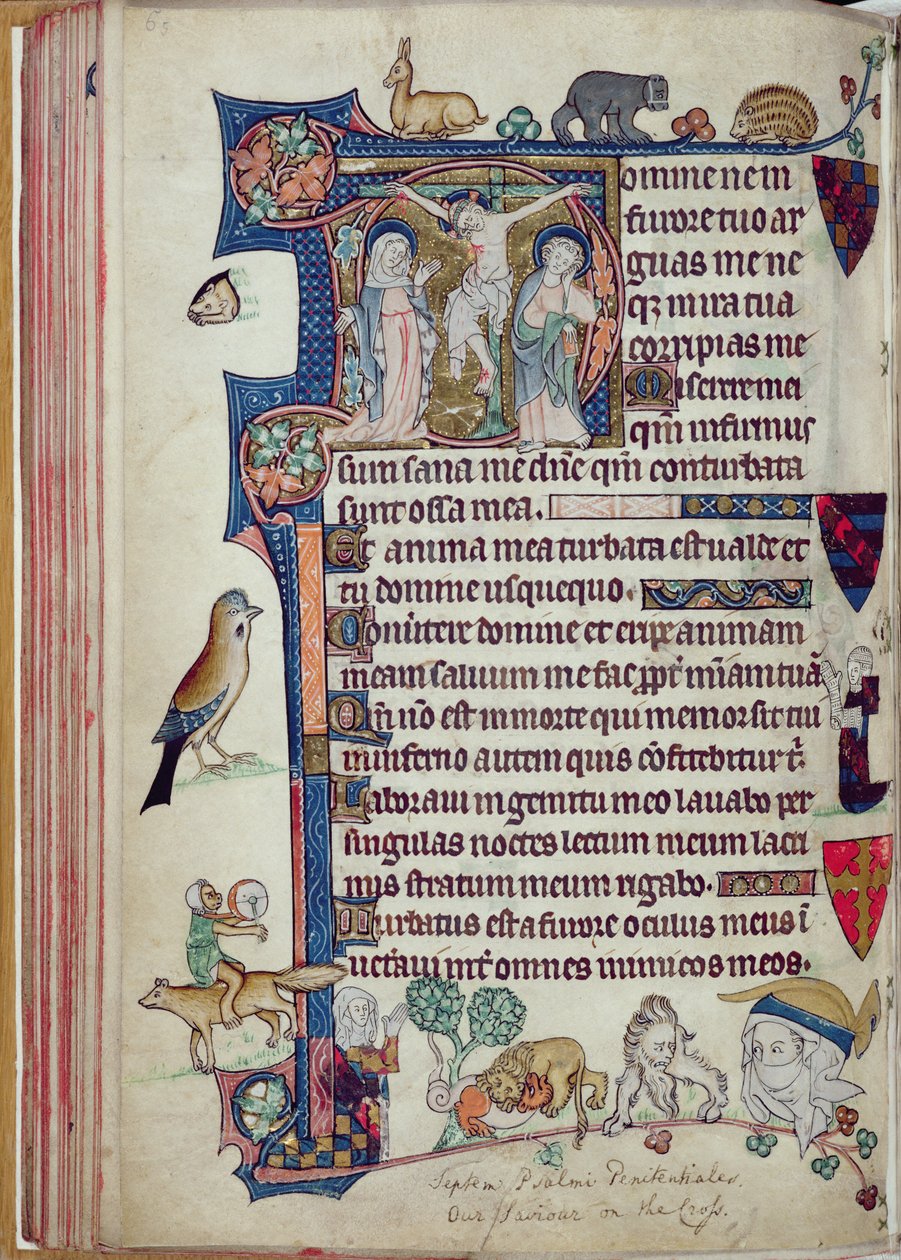 女士242 f.55v The Crucifixion，来自Packham-Clifford时间，使用Sarum，c.1314-31（羊皮纸上的金叶和蛋彩画） 作者 英语学校