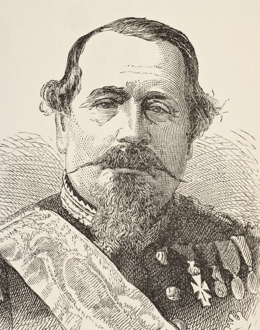 拿破仑三世来自威廉希克曼史密斯奥布里（1858-1916）的“英国国内和国内历史”，1890年出版伦敦，1890年 作者 英语学校