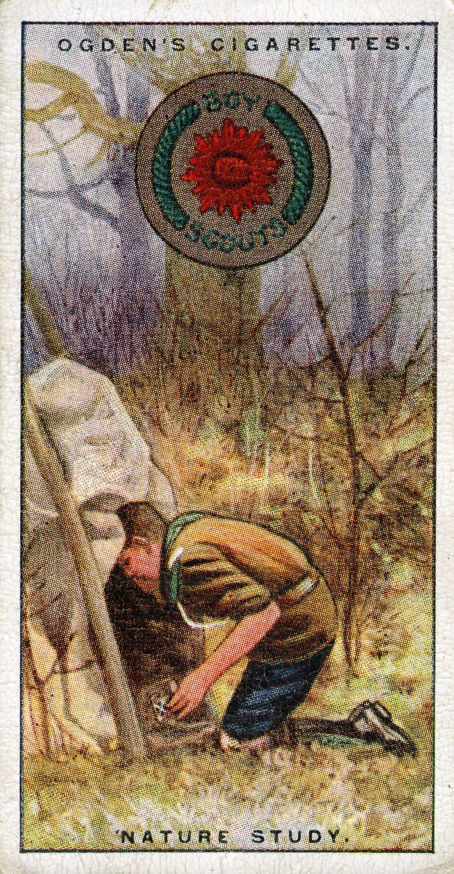 童子军的自然研究徽章，侦察兵进入隐藏，1929年 作者 英语学校