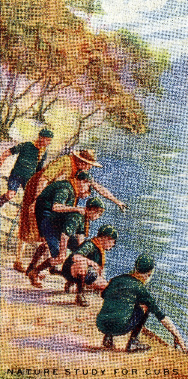 小熊的自然研究，1929年 作者 英语学校