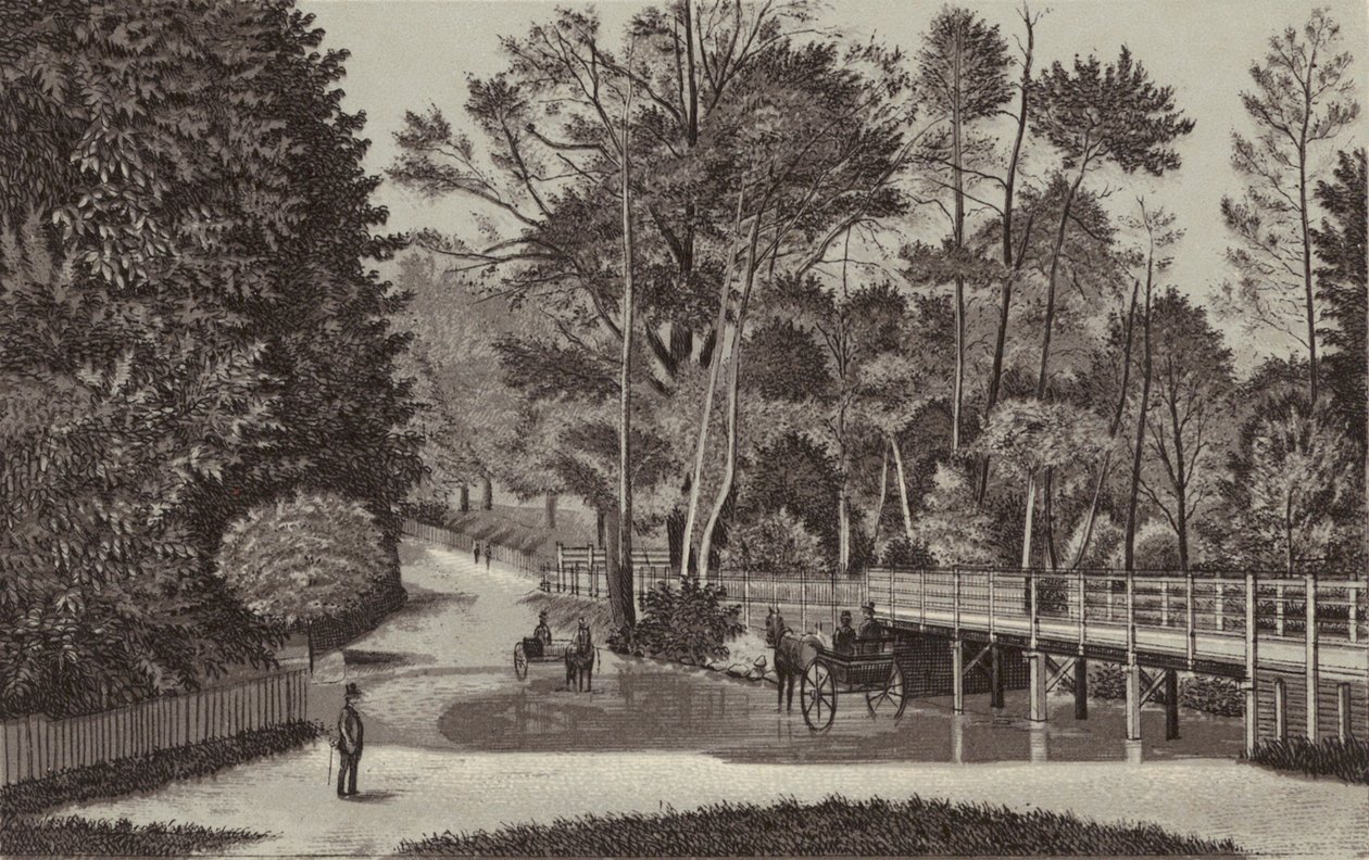 纽伯里桑德尔福德水（平版） 作者 英语学校