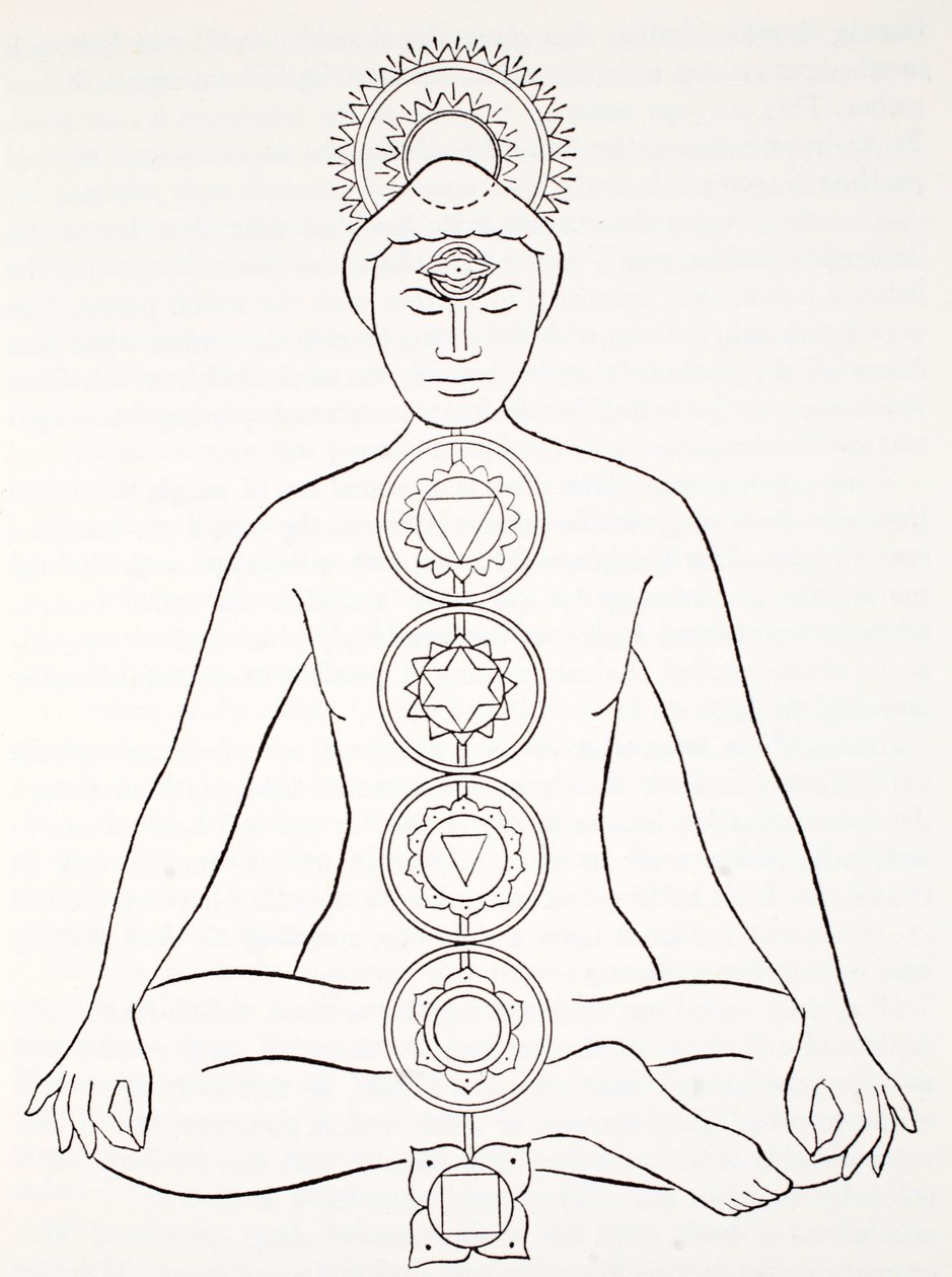 Padmasana或莲花的位置 作者 英语学校
