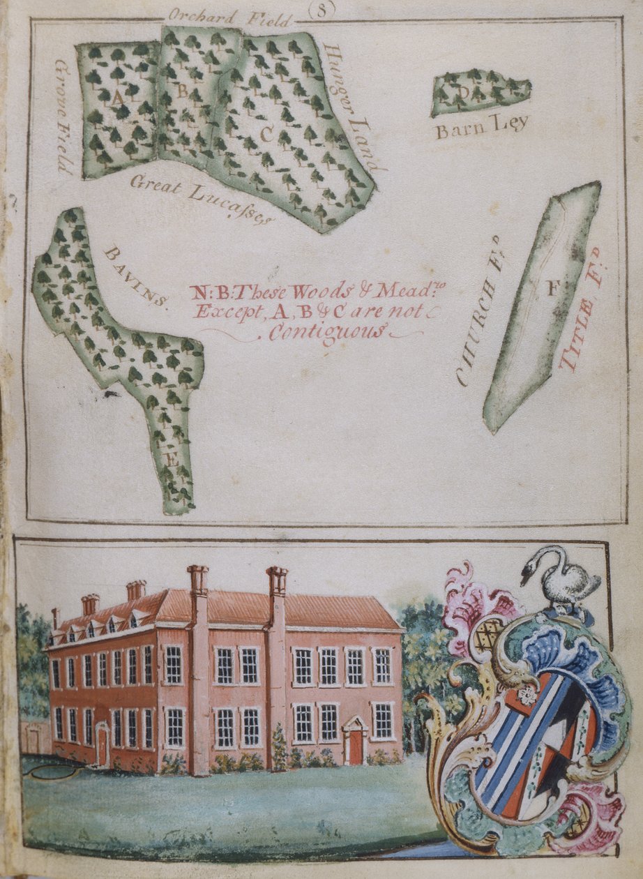 第8页，来自John Plampin的遗产调查，Esq。，1774年（纸和墨水与纸和水粉） 作者 英语学校