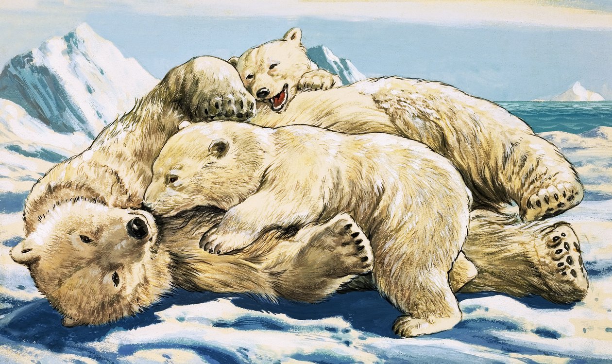 北极熊和幼崽（水粉画纸） 作者 英语学校