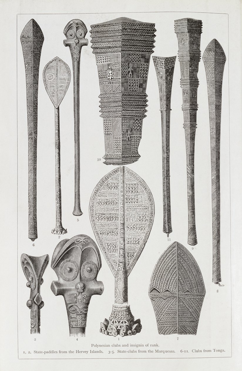 波利尼西亚俱乐部和排名徽章，来自“人类历史”，第1卷，由Friedrich Ratzel教授，1896年 作者 英语学校
