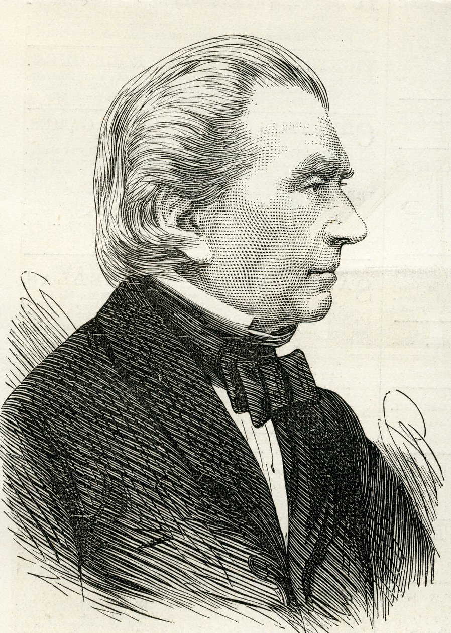 Charles Blacker Vignoles的肖像，1875年 作者 英语学校