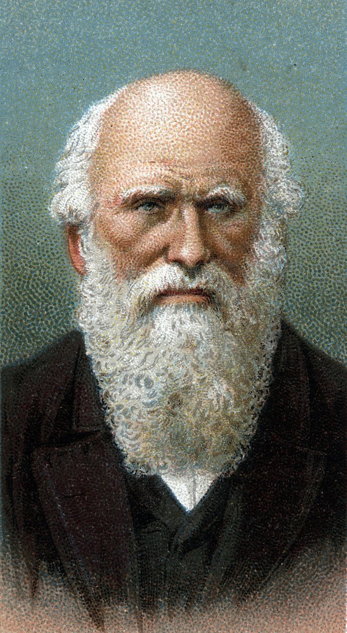查尔斯-罗伯特-达尔文(1809-1882)的肖像 - 来自 "人类领袖 "系列 - 色版画 - 英国学校，20世纪 作者 英语学校